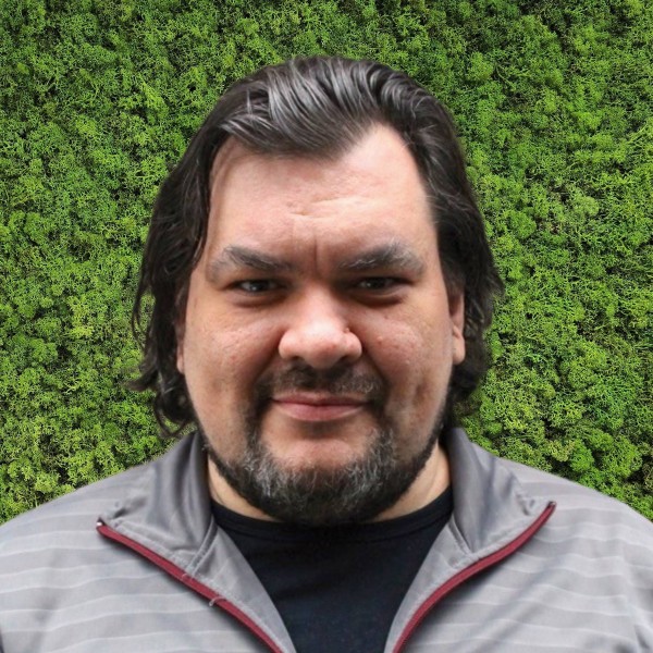 Radu Badica